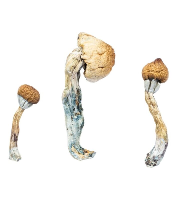 BUY MAGIC MUSHROOM ONLINE USA