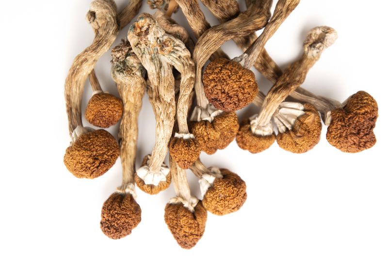 BUY MAGIC MUSHROOM ONLINE USA