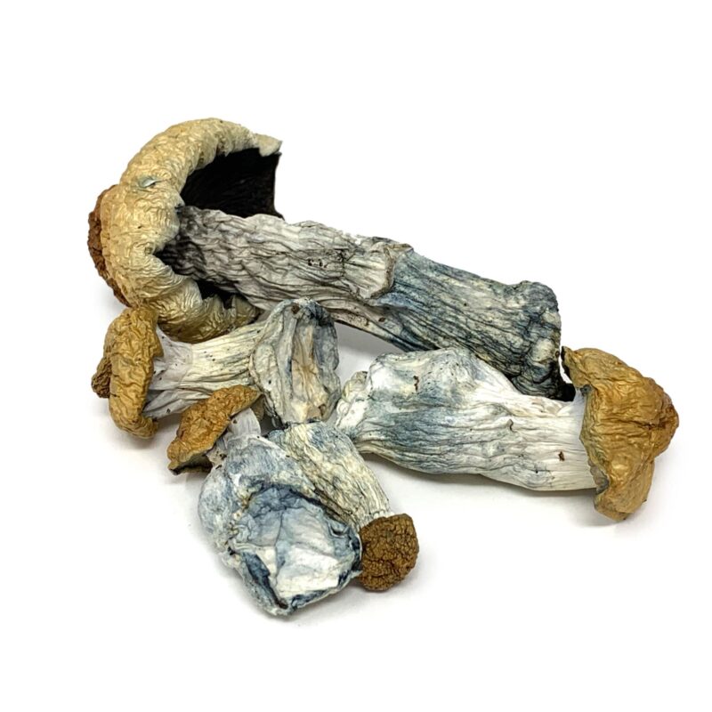 CAN I BUY PSILOCYBIN ONLINE