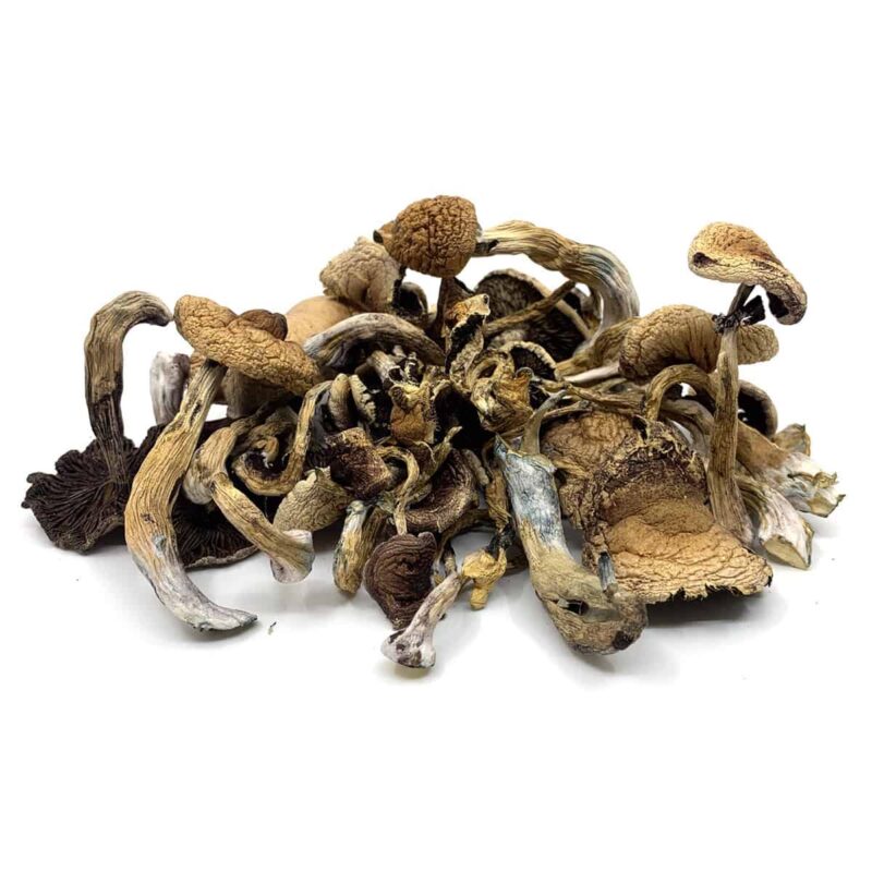Psilocybin Mushroom For Sale Online Australia