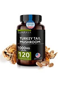 Turkey Tail Mushroom Capsules For Sale Sydney Australia